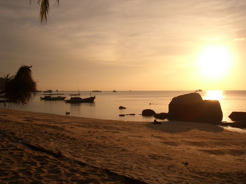 Click to See Next Image